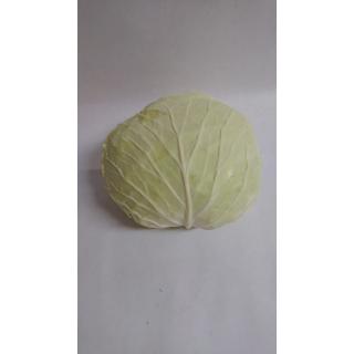 Braunschweigerkraut