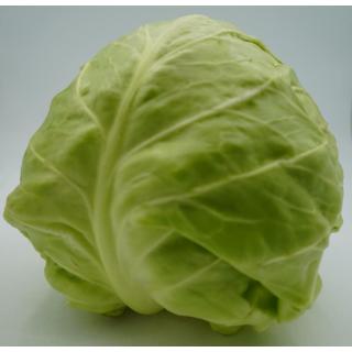 Frühkraut