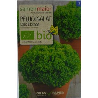 Pflücksalat Lollo Blonda Bio