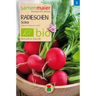 Radieschen Sora bio