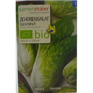 Zichoriensalat Zuckerhut bio