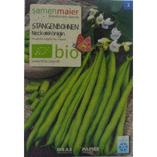 Stangenbohnen Neckarkönigin bio