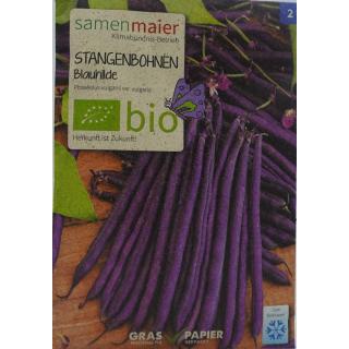 Stangenbohnen Blauhilde bio