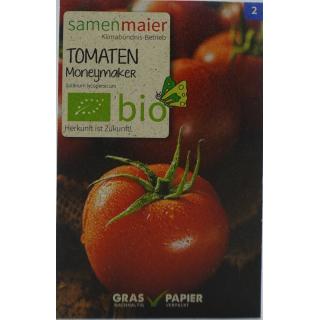 Tomaten Moneymaker