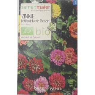 Zinne Kalifornische Riesen