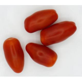 Tomaten Raritäten