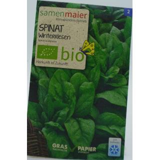 Spinat Winterriesen bio