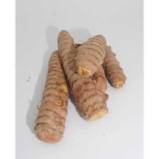 Gelbwurz Kurkuma  Kipepeo