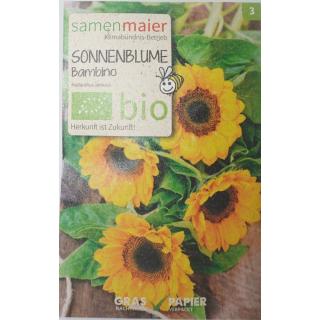 Sonnenblume Bambino bio