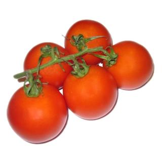 Strauchtomaten