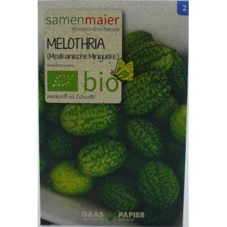 Melothria (mexikanische Minigurke