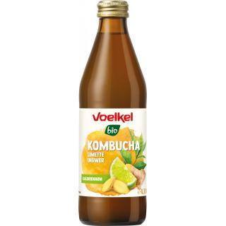 Kombucha Limette Ingwer